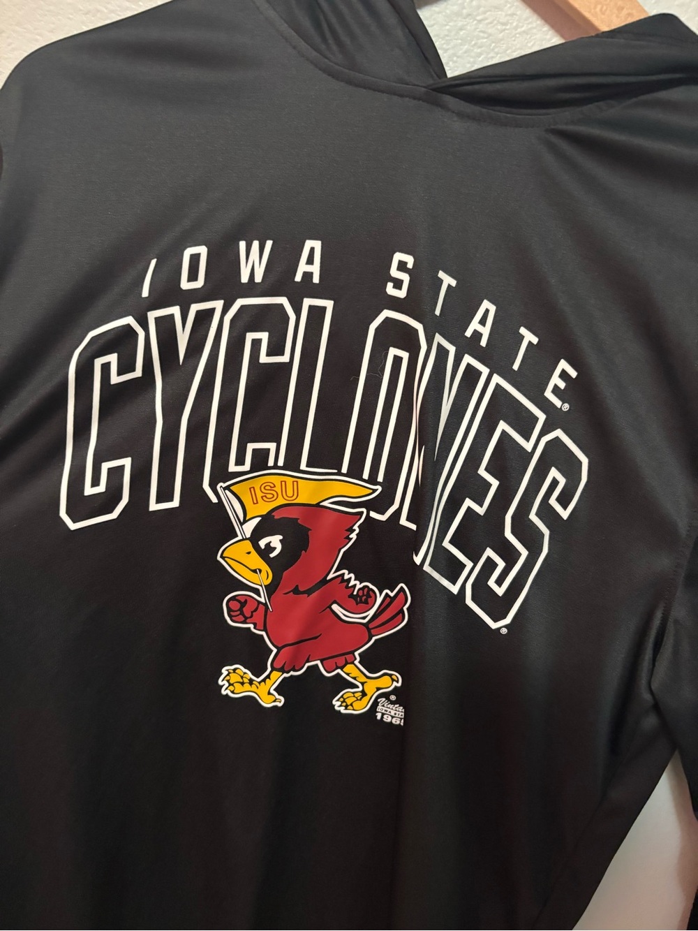 Champion Iowa State Cyclones Womens Black Pullover Hoodie White Logo Large - Picture 2 of 6
